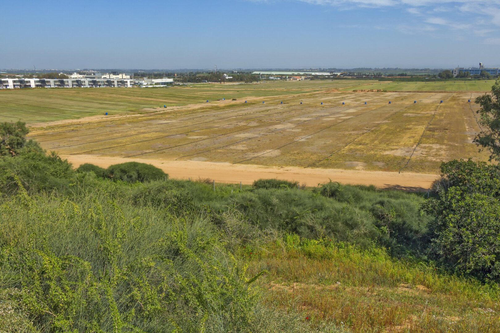 Open field with distant buildings and trees.